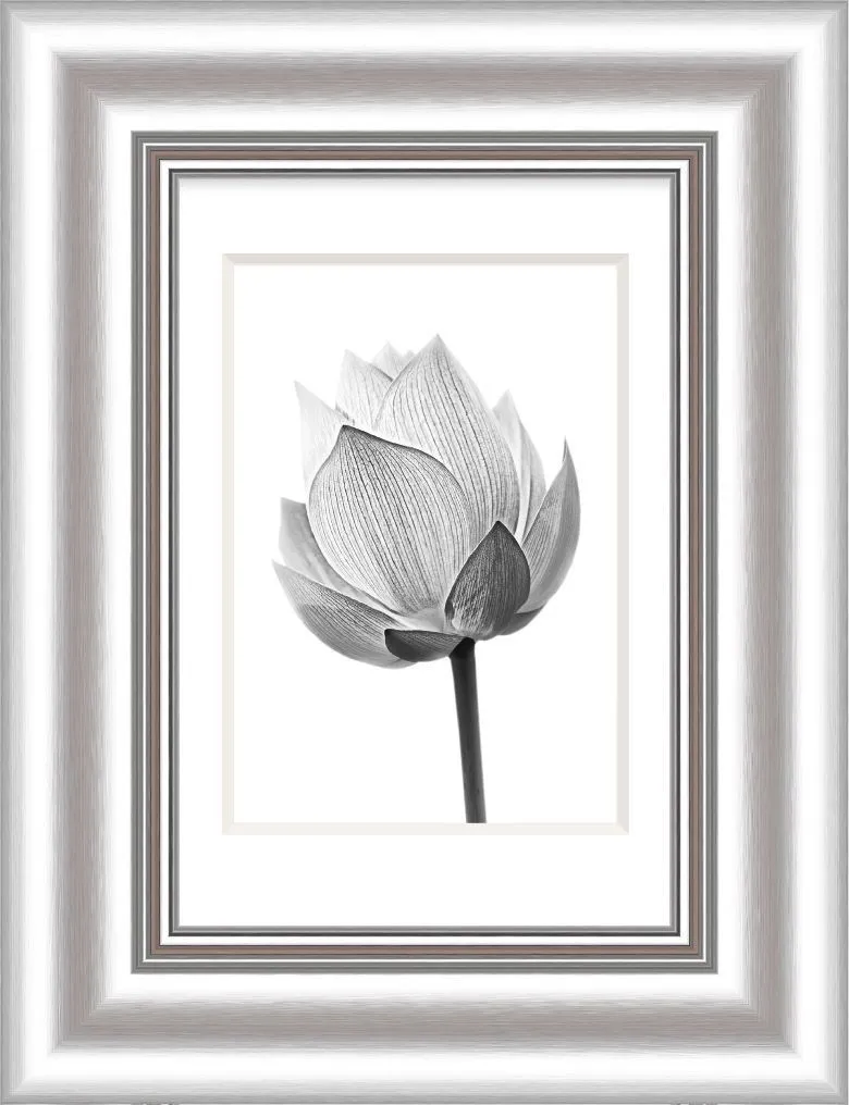 Bilderrahmen ELEGANCE silber 253671