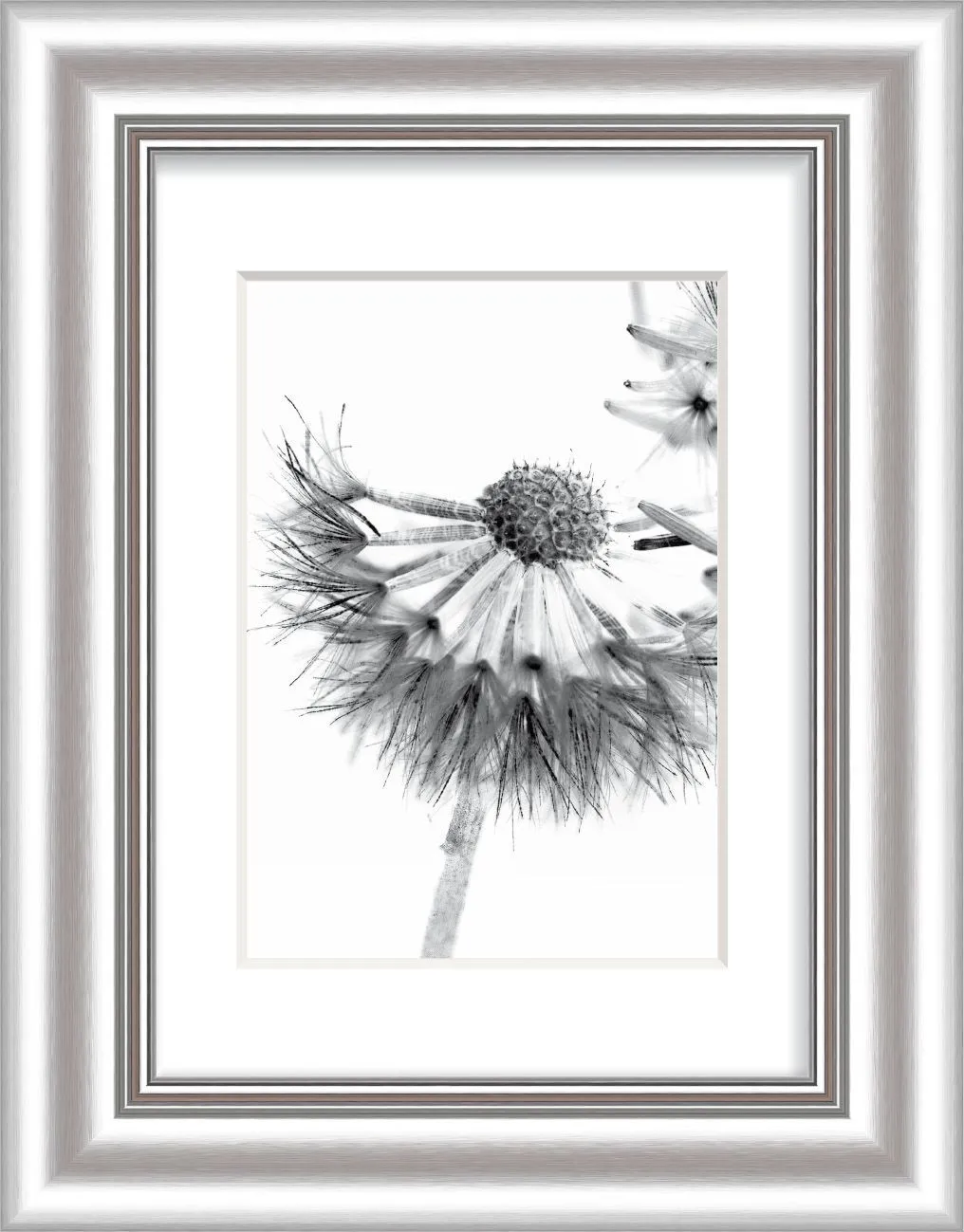 Bilderrahmen ELEGANCE silber 253672