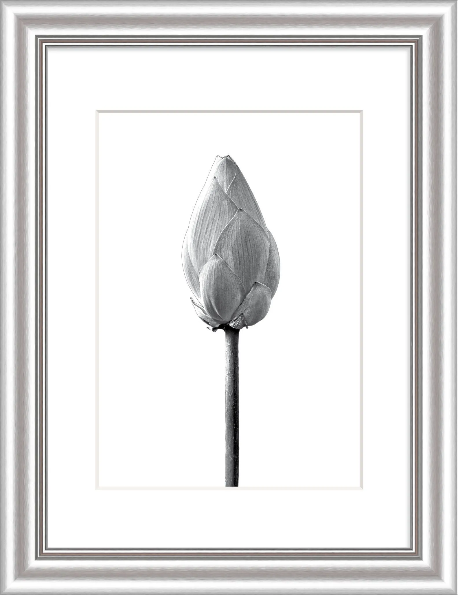 Bilderrahmen ELEGANCE silber 253674