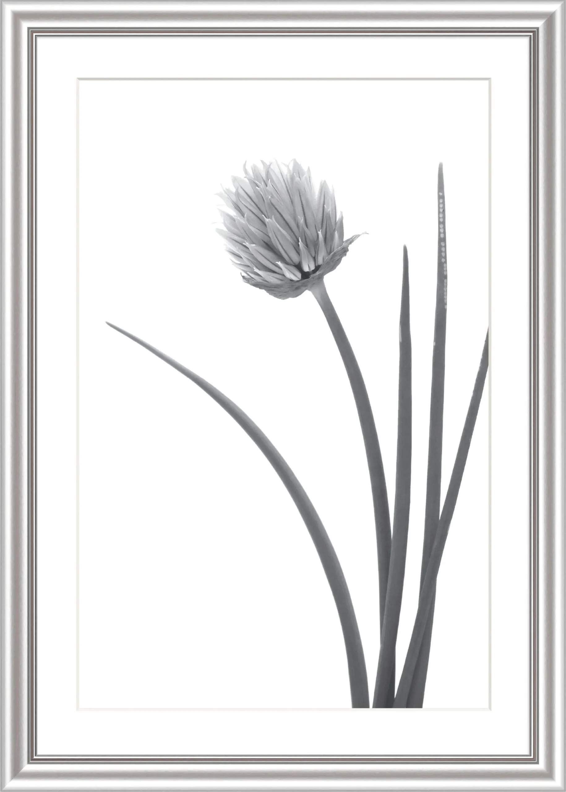 Bilderrahmen ELEGANCE silber 253676