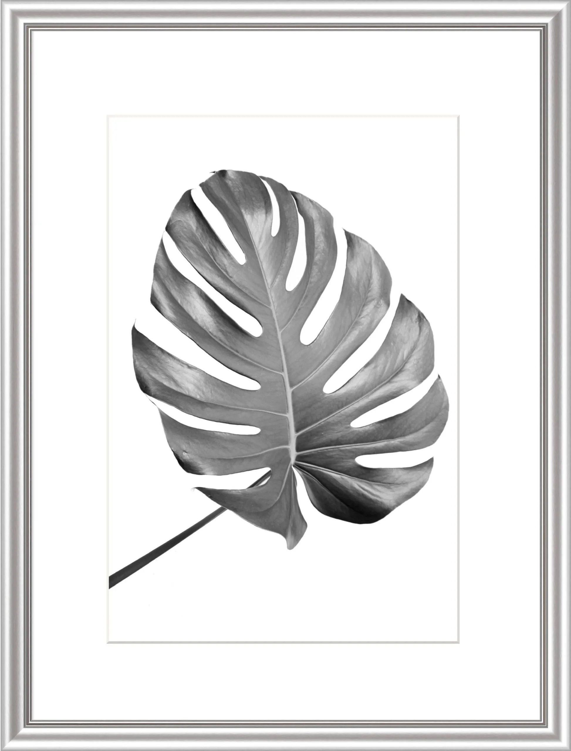 Bilderrahmen ELEGANCE silber 253677