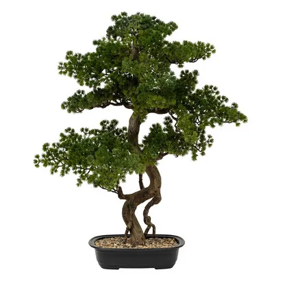 Bonsai Polin , Keramiktopf, H.86 cm