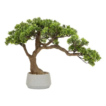 Bonsai im Topf Polin , Keramiktopf, Grün, H. 60 cm