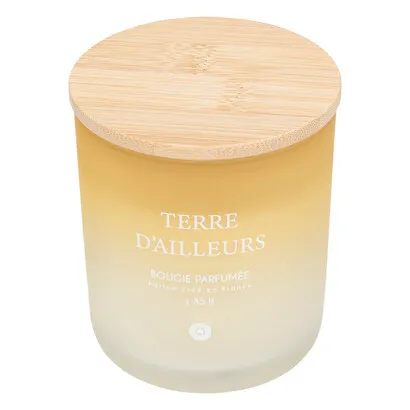 Duftkerze Terre d'ailleurs , Moschusblüten, 255g