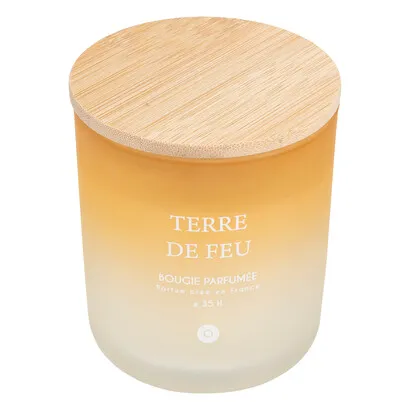 Duftkerze Terre de Feu , Fliederstrauß, 255g