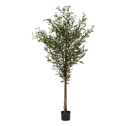 Künstlicher Olivenbaum Martin , Keramiktopf, H.210 cm