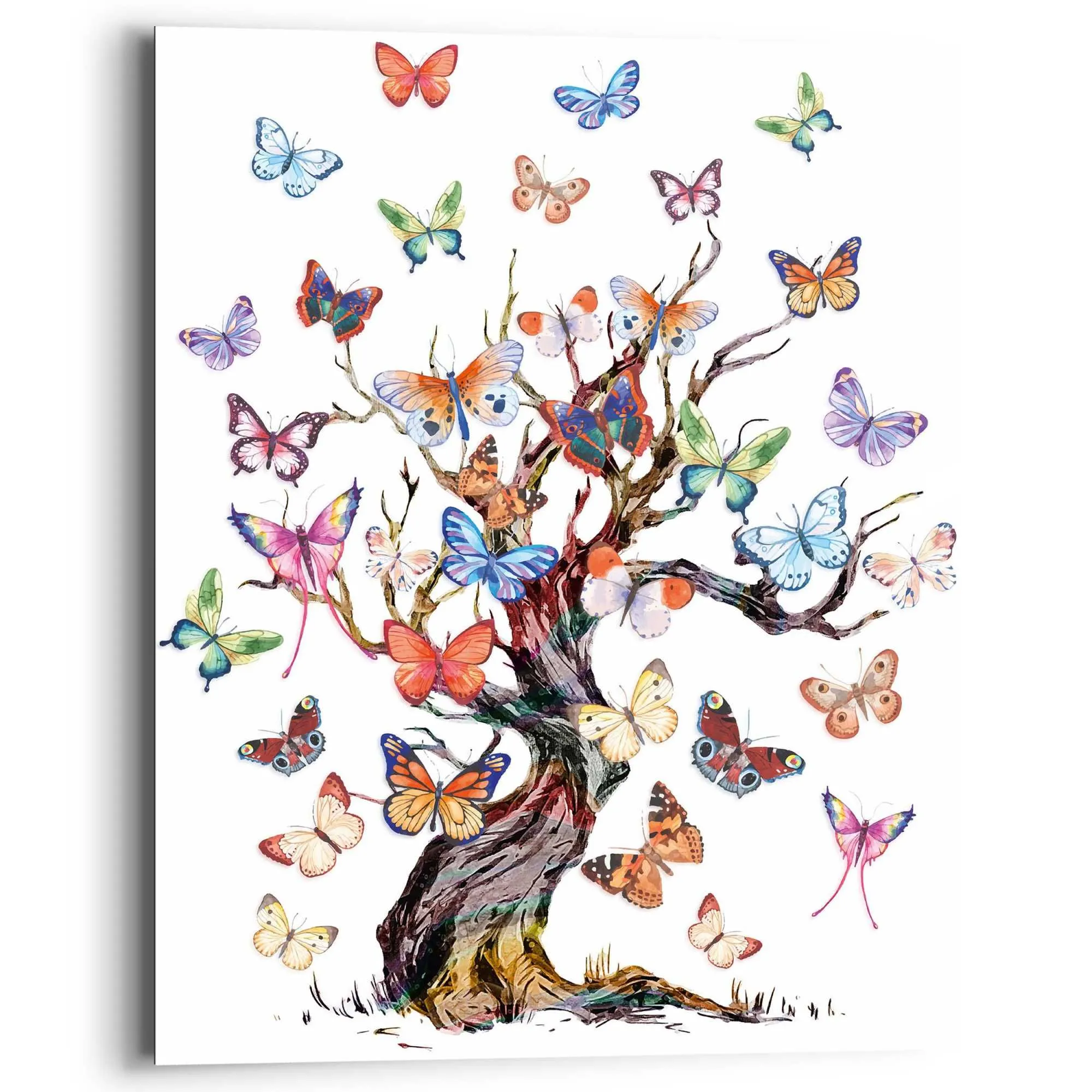 Bild BUTTERFLY TREE 585943