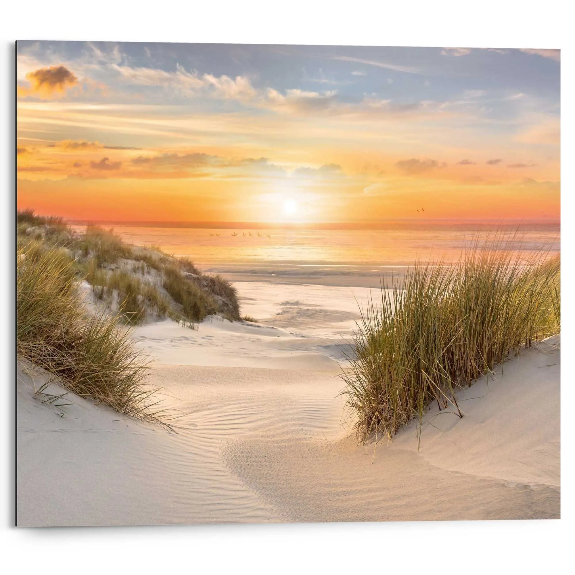 Bild BEAUTIFUL DUNES 585979