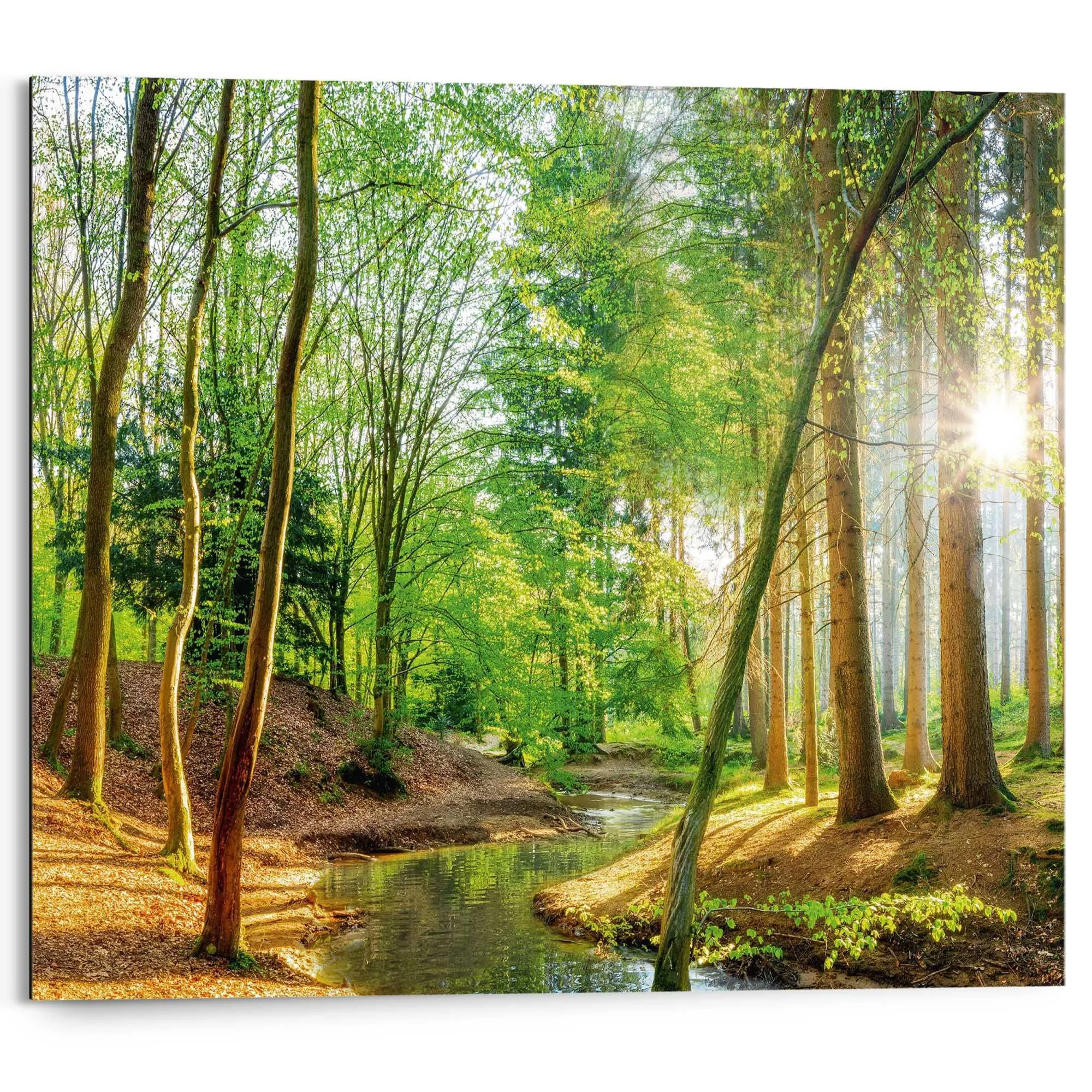 Bild SPRING WOODS 585984