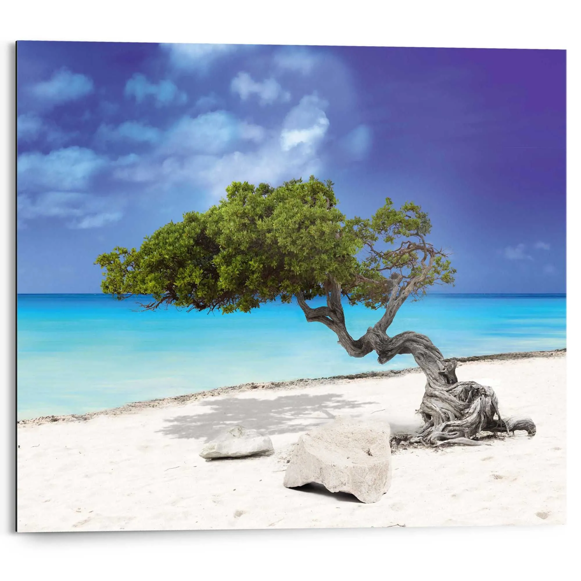 Bild TROPICAL TREE 585994