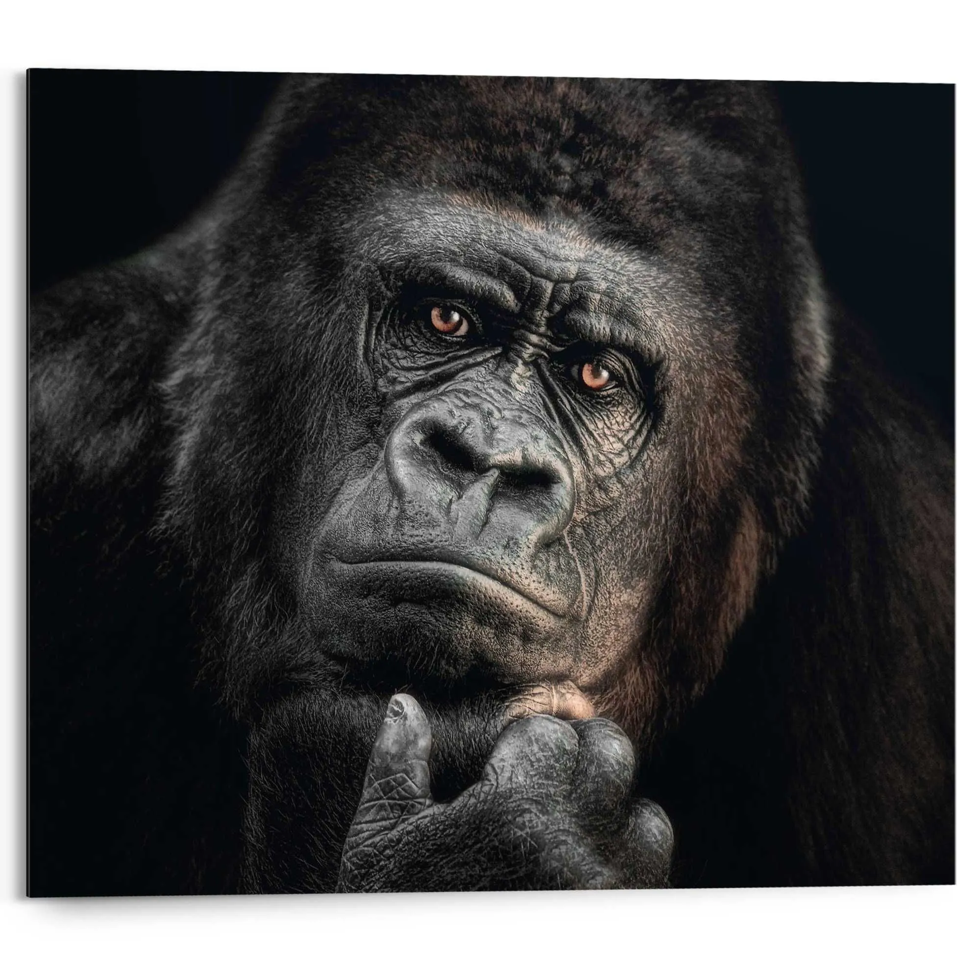 Bild GORILLA THINKING 586049