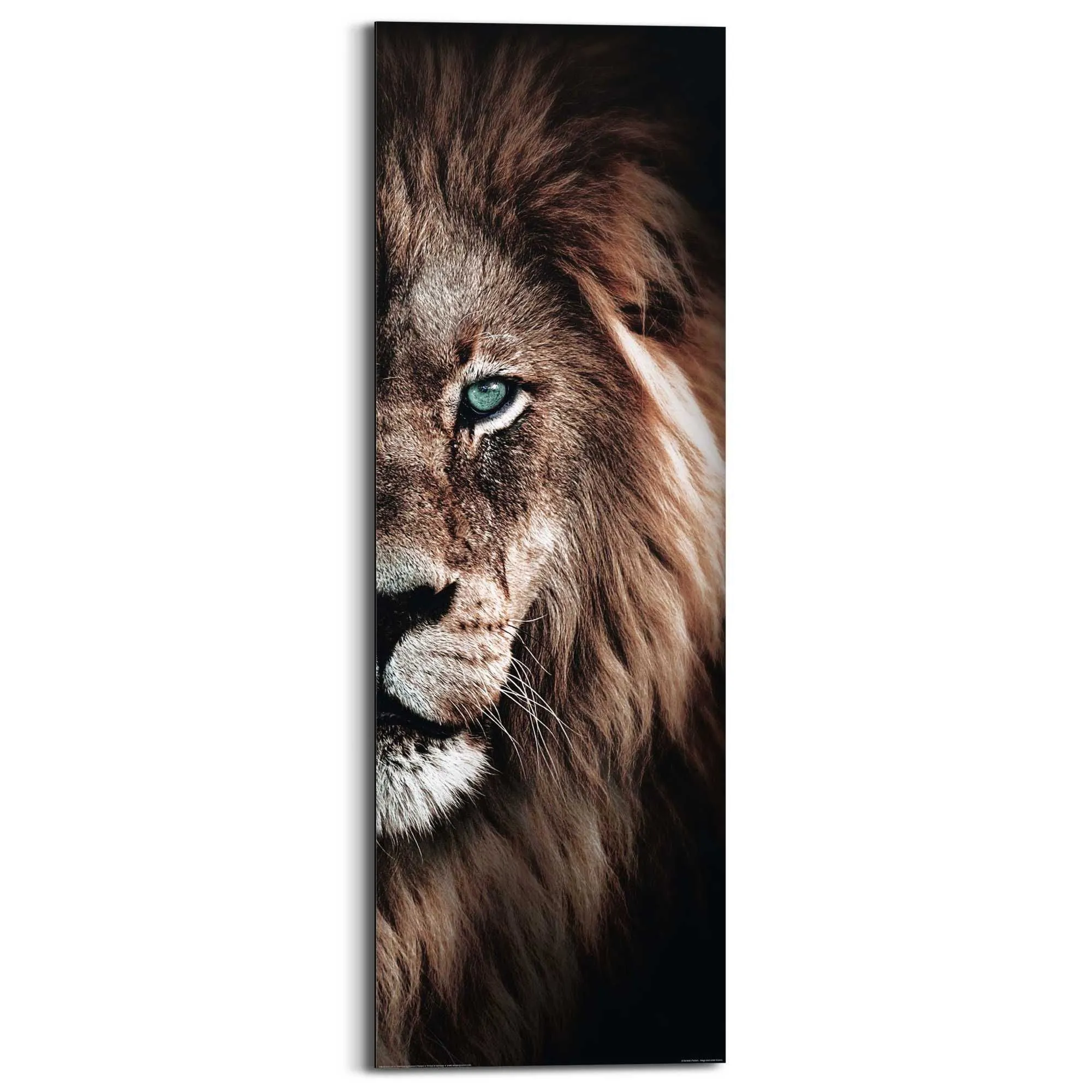 Bild HALF LION 586052
