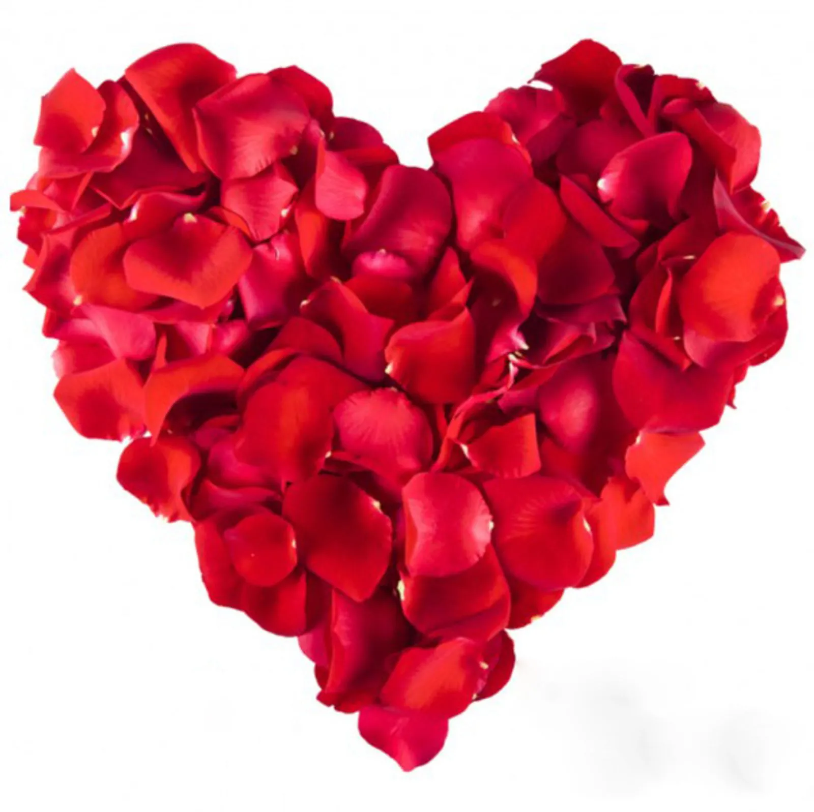 1000 Rosenblätter Rosenblüten Rosen Blütenblätter Valentinstag Deko