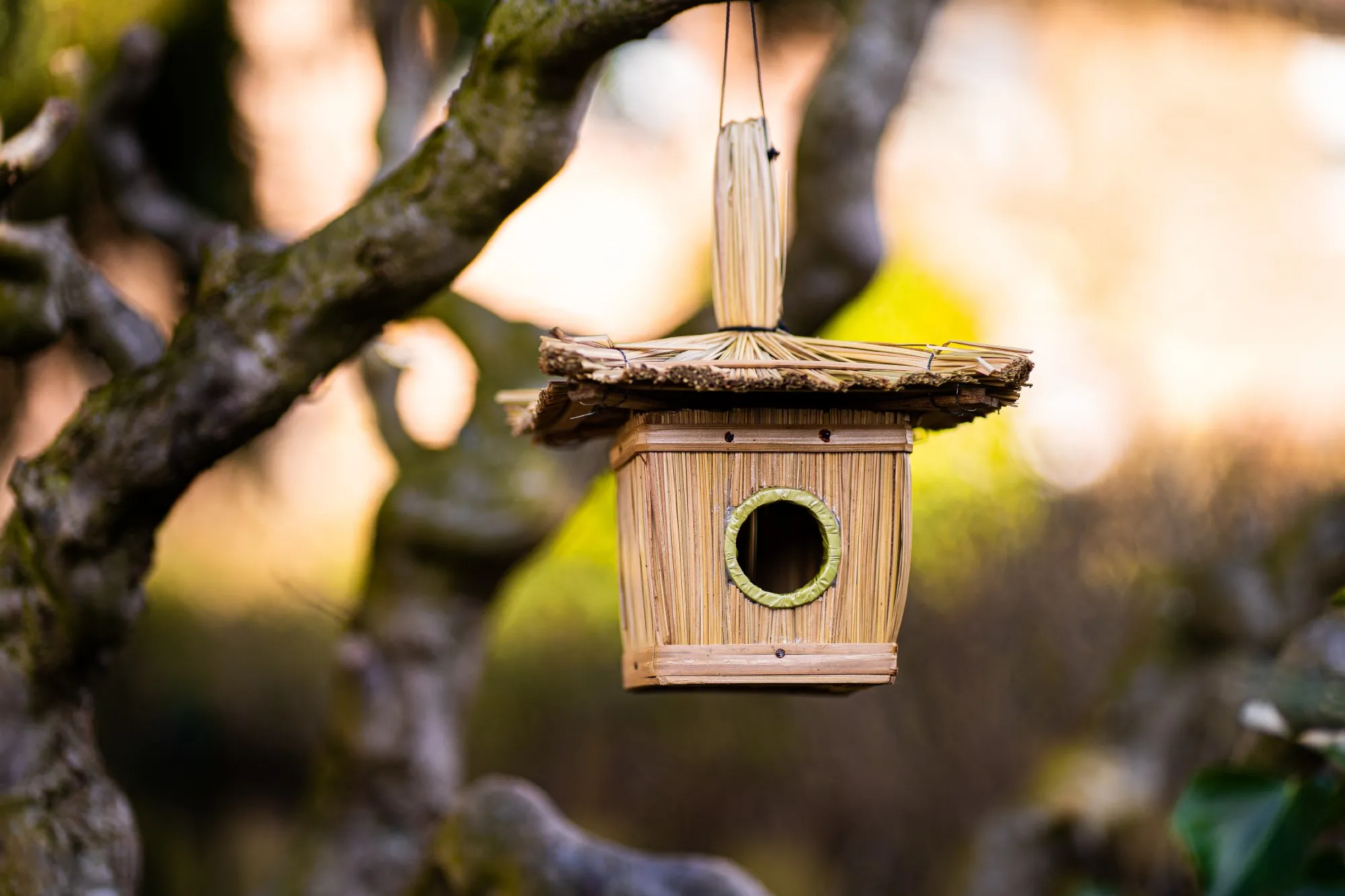 Vogelhaus aus Stroh, L 17 cm, B 17 cm, H 21 cm