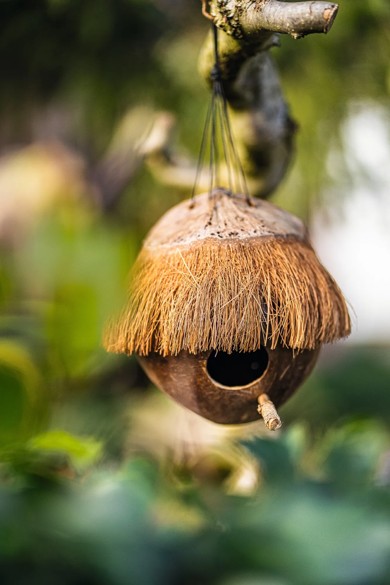 Vogelhaus Kokos, H 20 cm, Ø 20 cm