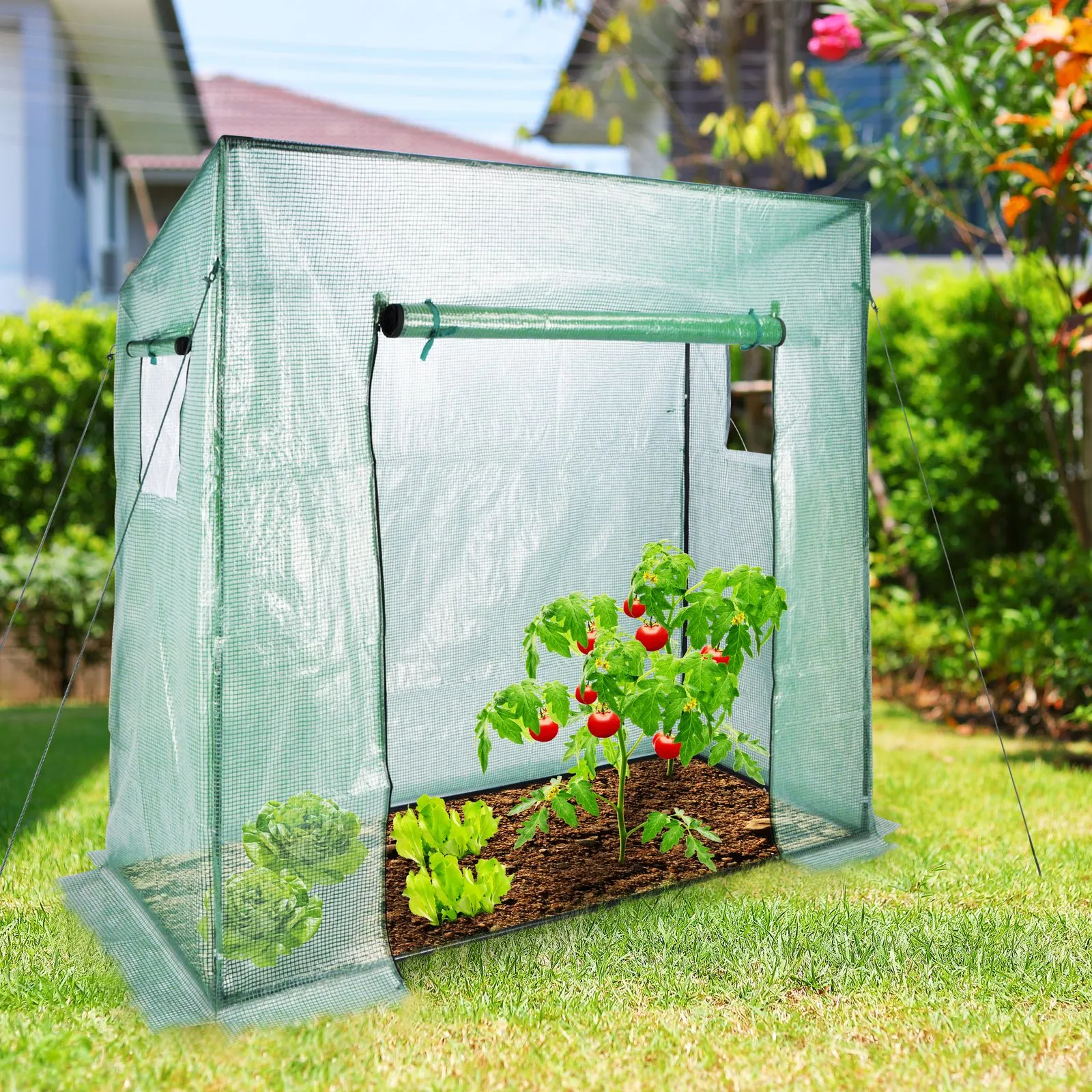 Gewächshaus Foliengewächshaus Treibhaus Frühbeet Tomatenhaus Tomaten