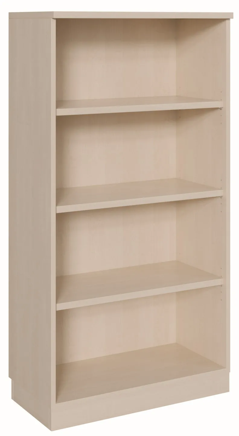 Regal mit 4 Ordnerhöhen