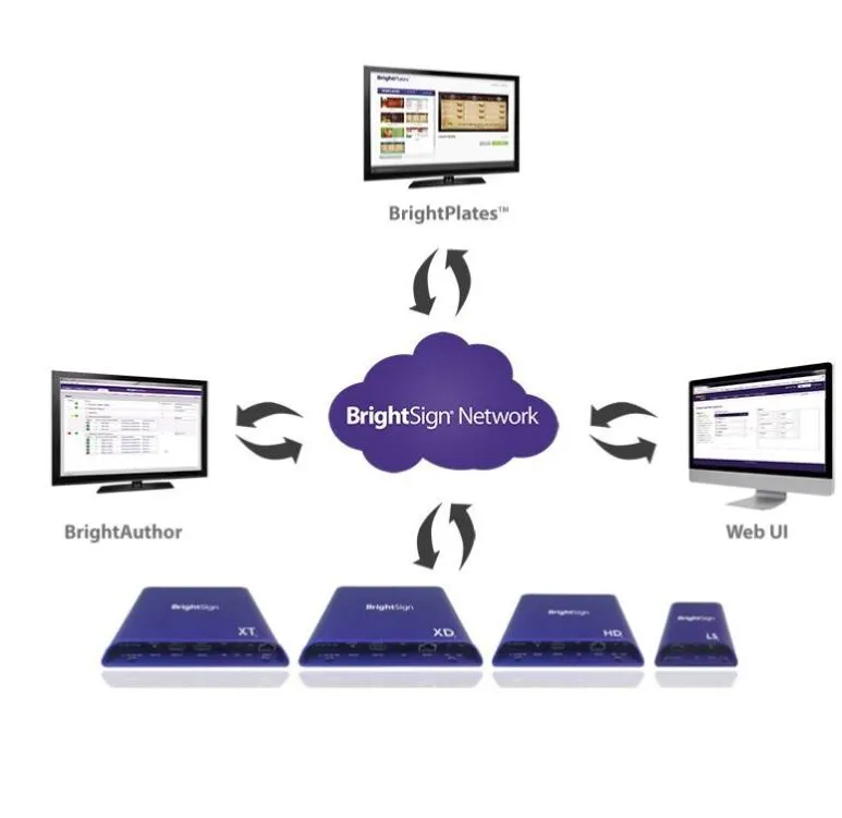 BrightSign Network Manager 1x Monat / Player
