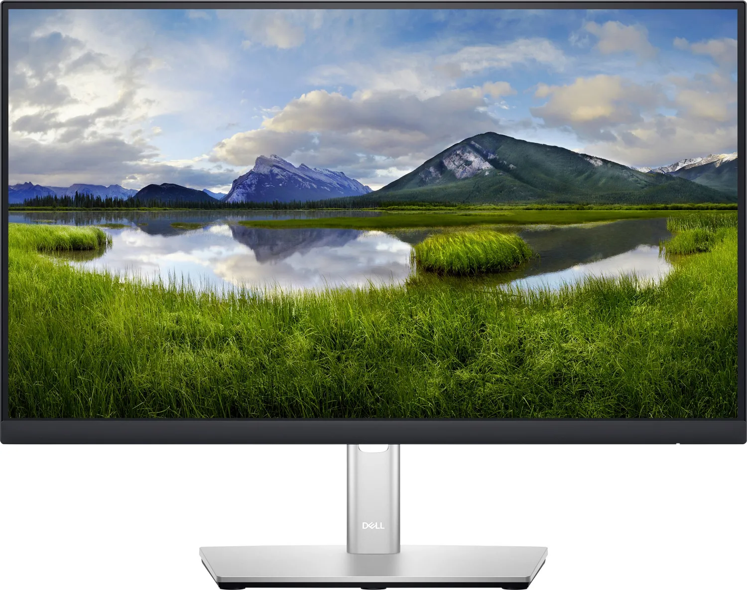 Dell P2222H LED-Monitor Computermonitor Bildschirm DEFEKTWARE