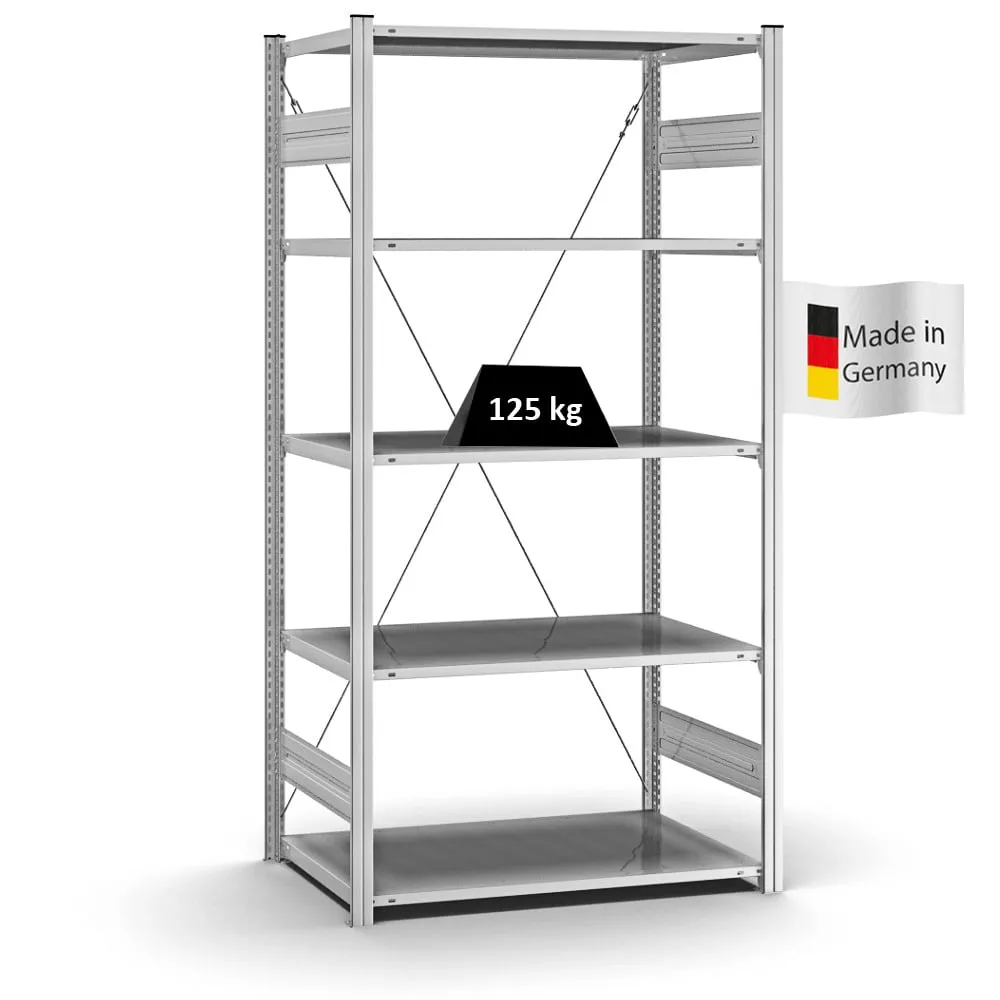 Profi-Lagerregal Stecksystem T-Profil | Grundregal | HxBxT 200x100x60cm | Fachlast 125kg | Verzinkt