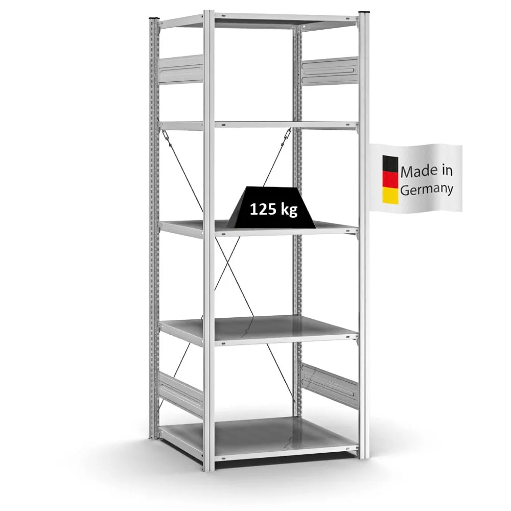 Profi-Lagerregal Stecksystem T-Profil | Grundregal | HxBxT 200x75x60cm | Fachlast 125kg | Verzinkt
