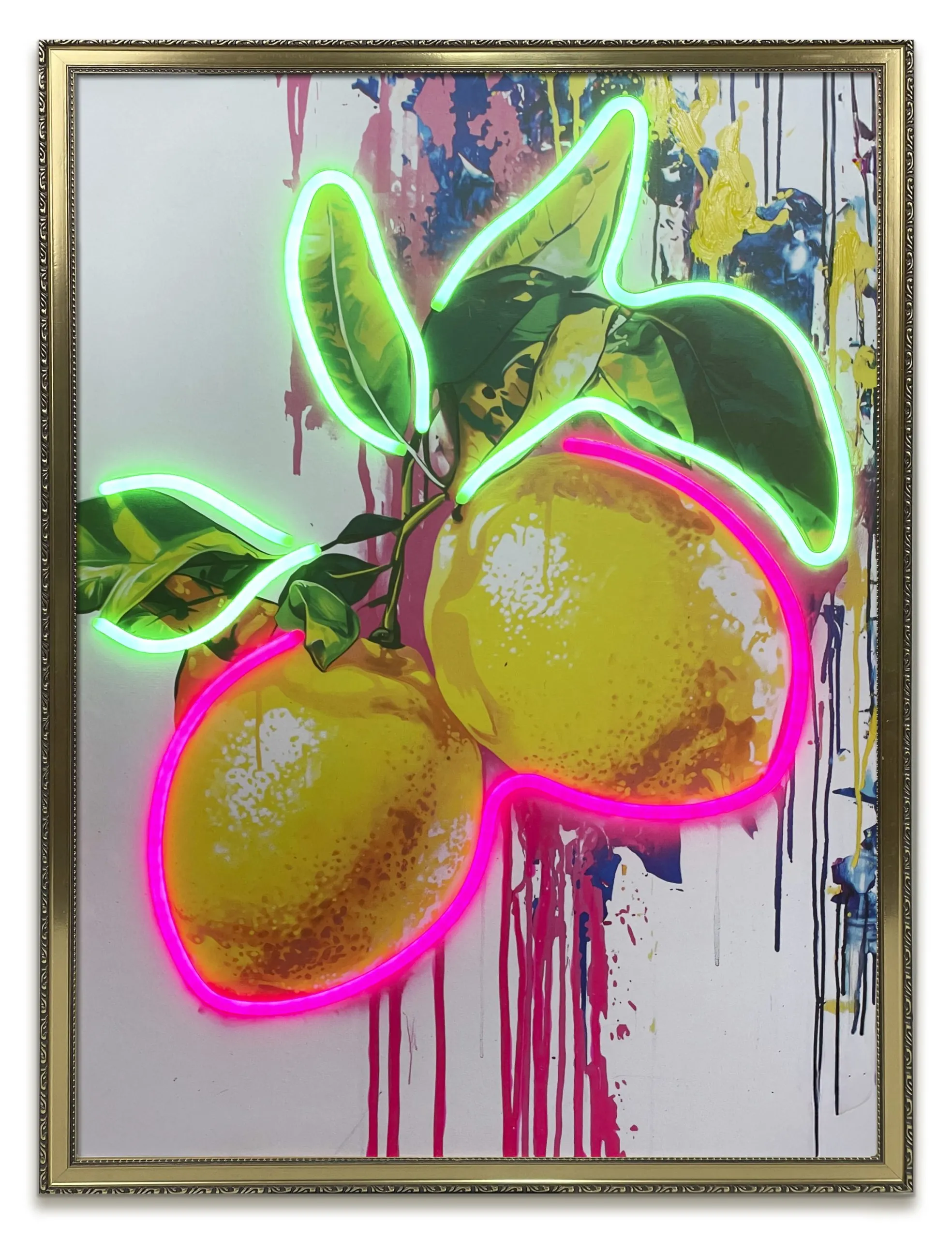 Bild SUMMER LEMONS 697640