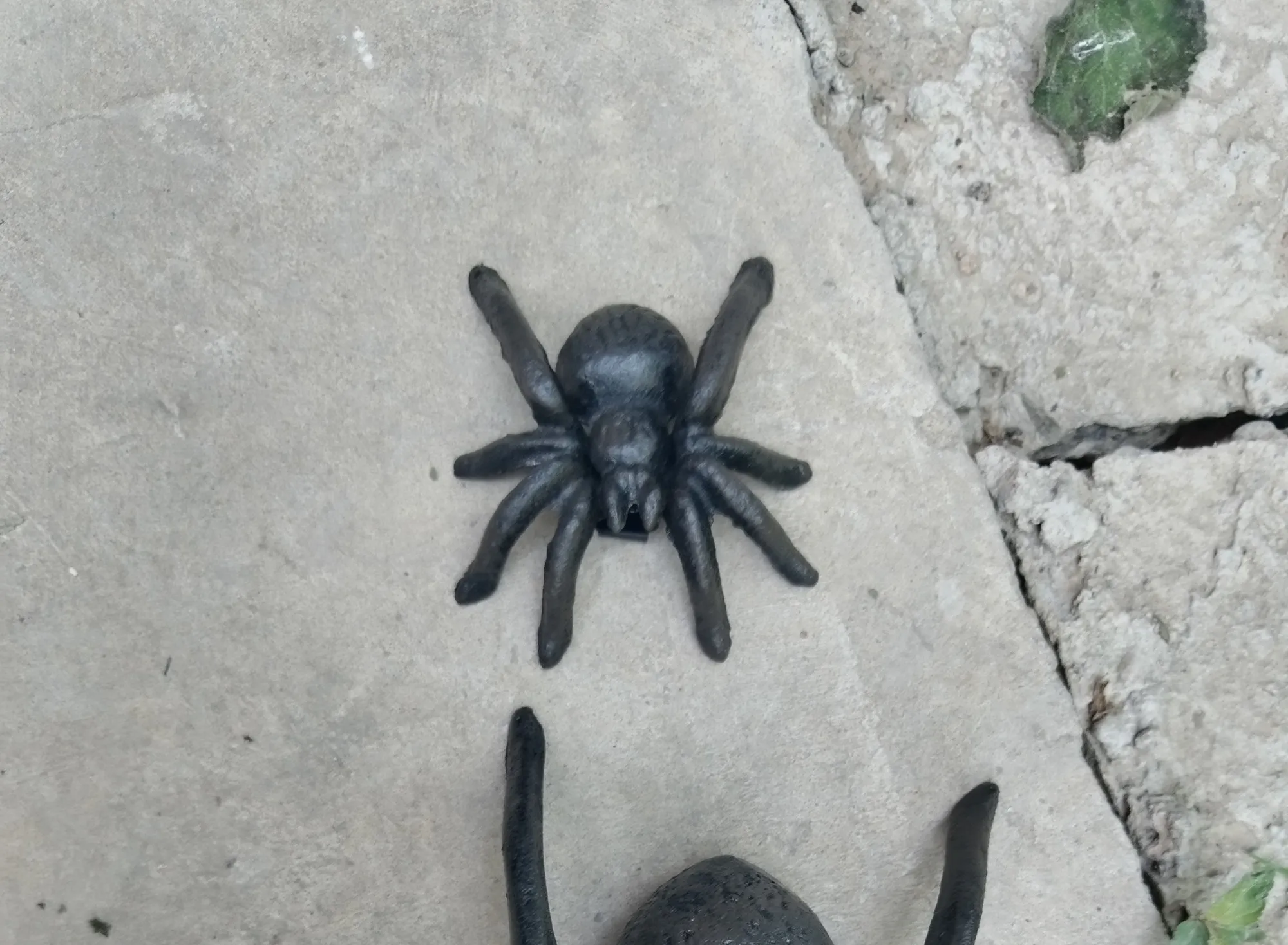 kleine Spinne aus Gusseisen, B 8 cm, L 7 cm, H 2,5 cm