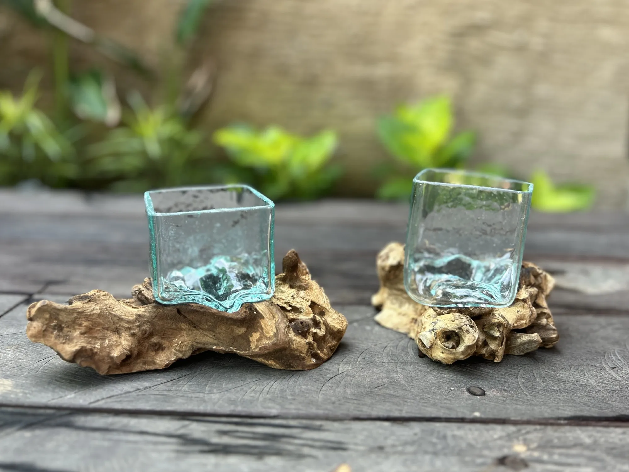 Wurzelholz-Glasvase, eckig, B 15 cm, T 20 cm, H 13 cm