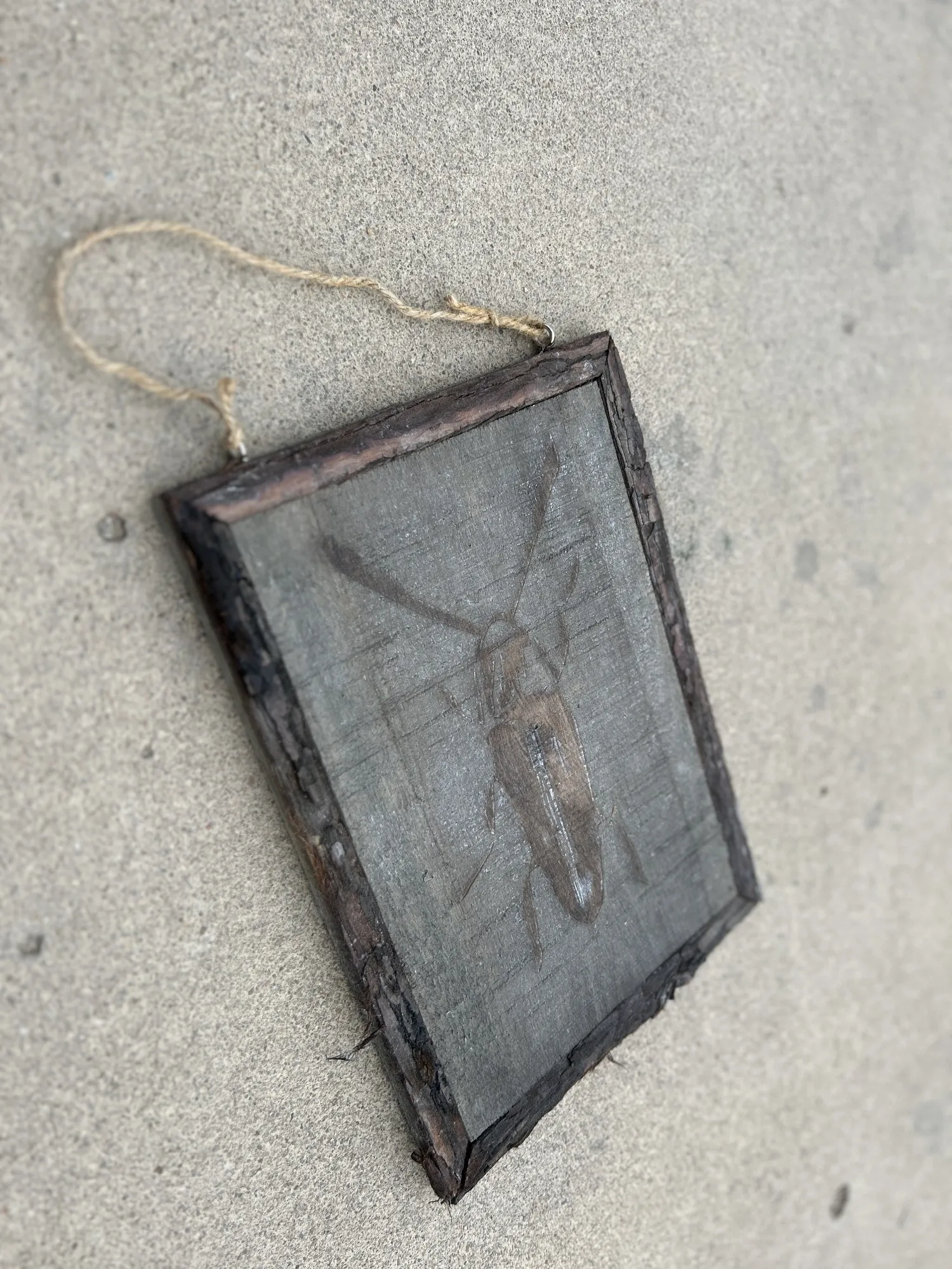 Wandbild 'Käfer' auf Holz, vintage, natur, H 36 cm, B 26 cm