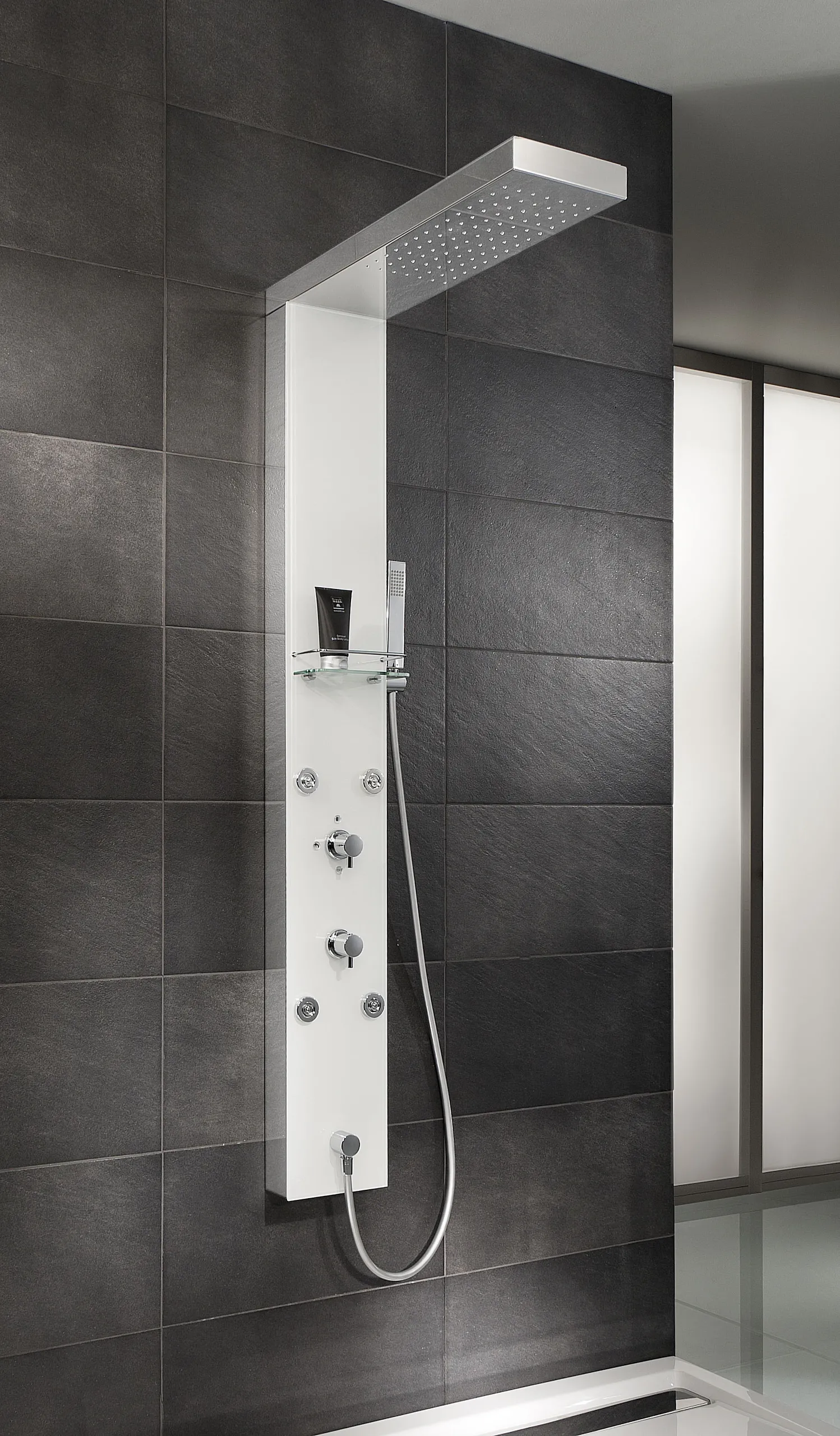 HSK Duschpaneel „Lavida“ freihängende Regentraverse in Edelstahl look