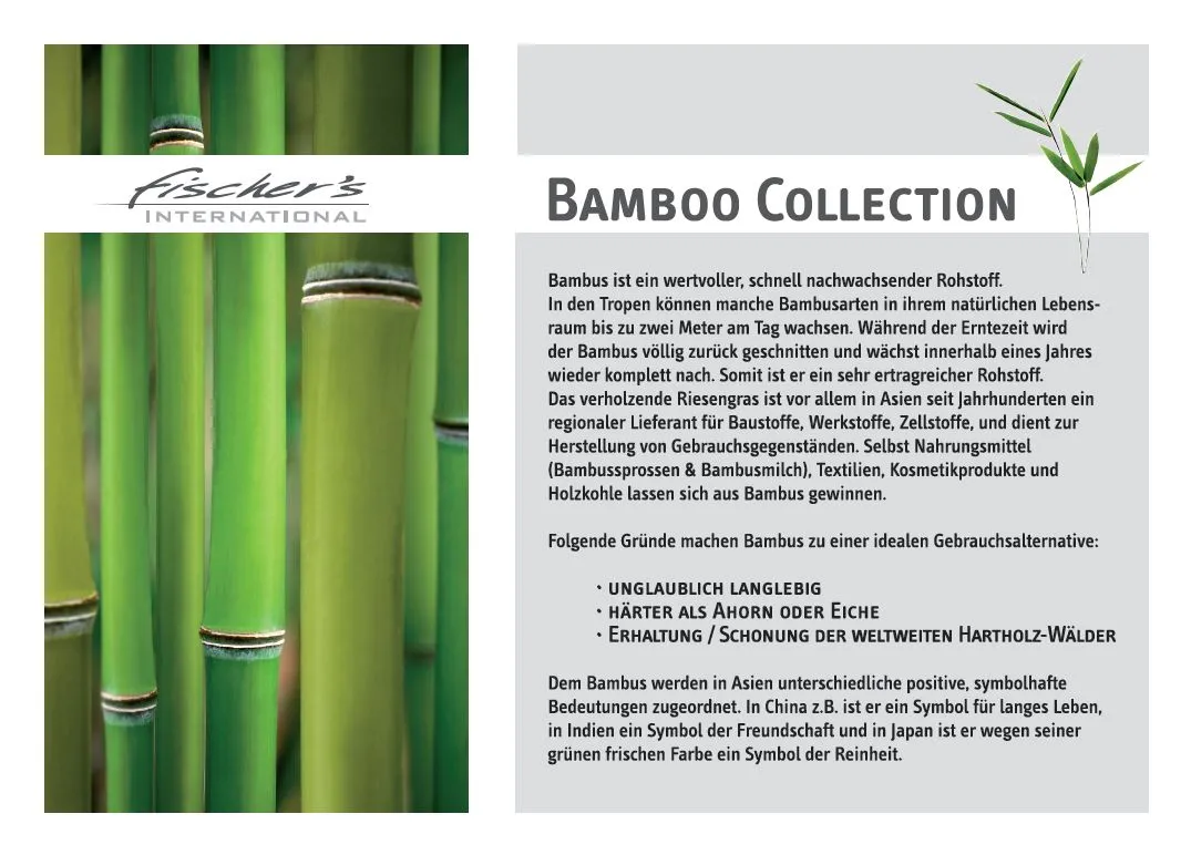 Bambusstange 7m, natur, T 700 cm, B 2,5 cm, H 2,5 cm