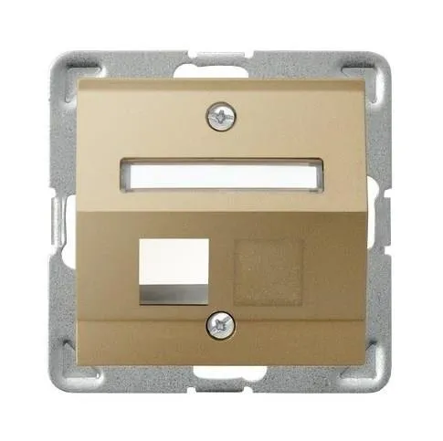 Gehäuse fuer einzelne Steckdose Keystone Typ schräg goldfarbig GPK-1YS/p/28