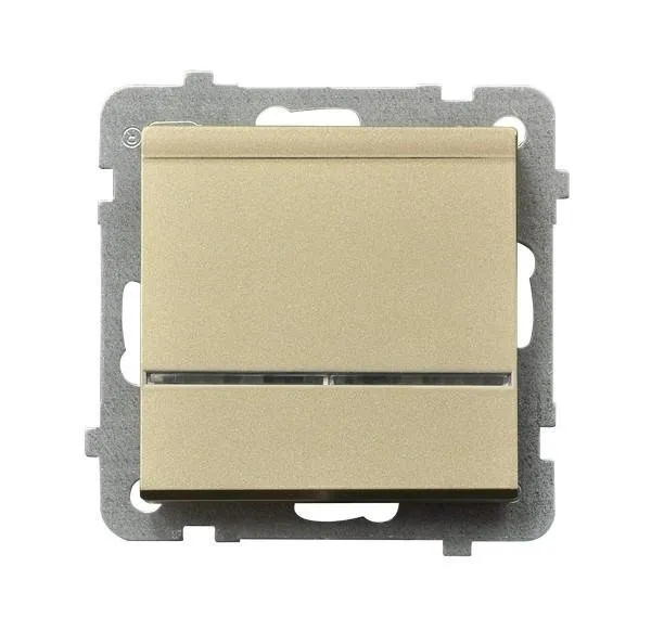 Hotelkartenschalter mit Hintergrundbeleuchtung orange Champagner goldfarbig ŁP-15RS/m/39