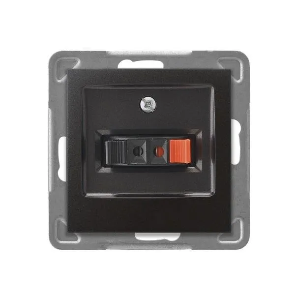 Lautsprecher Steckdose 1-fach Anthrazit Ospel Impression GG-1Y/m/50