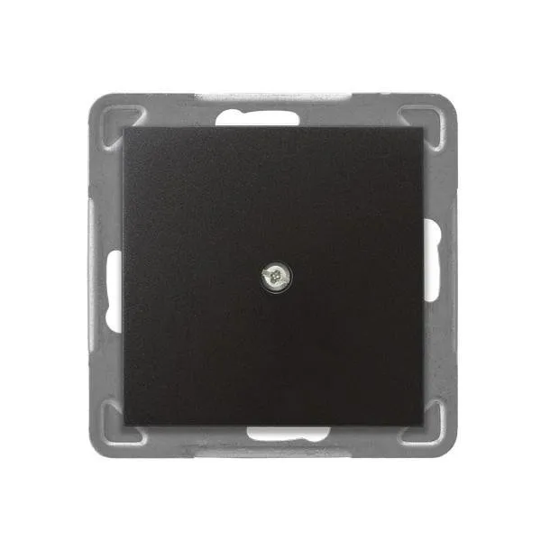 Steckdosen Blende Anthrazit Ospel Impression Z-1Y/m/50