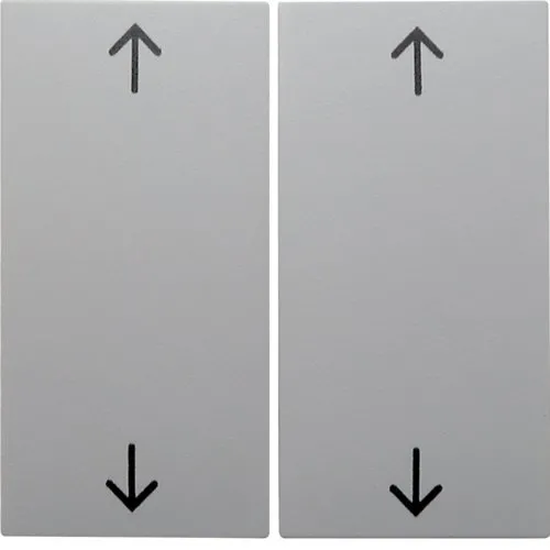 Wippen mit Aufdruck Symbol Pfeile S.1 2fach polarweiß, glänzend Berker 5316448999